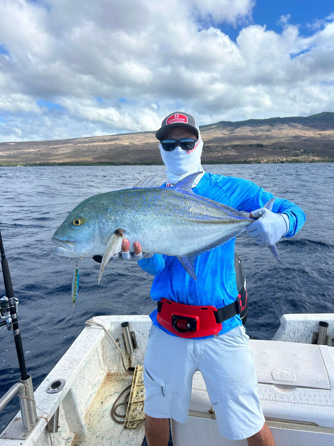 Giant Trevally Research on the Great Barrier Reef