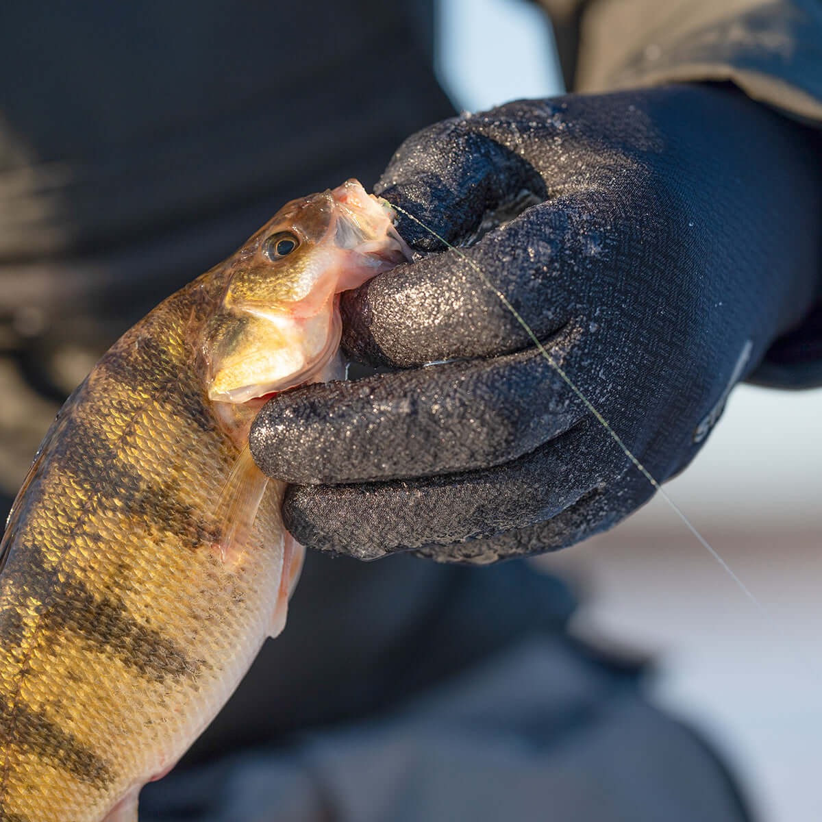 Best ice fishing gloves online